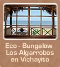 Eco - Bungalow