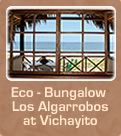 Eco - Bungalow